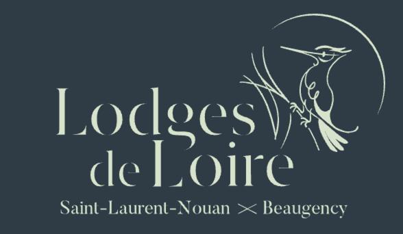 Lodge De Loire - B & B Proche Chambord Saint-Laurent-Nouan Buitenkant foto